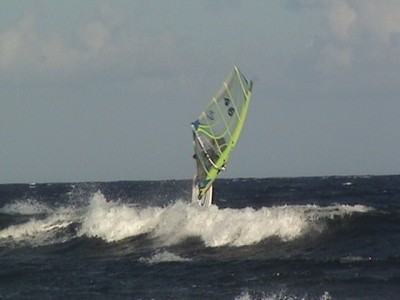 DSC08037.JPG