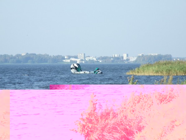 2010-09-24 263.jpg