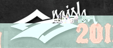 logotipas_naish (30).jpg