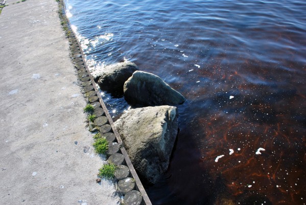 DSC_0125.jpg