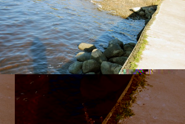 DSC_0126.jpg