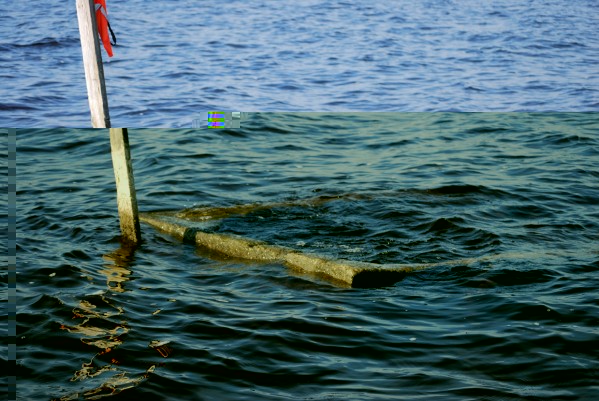 DSC_0138.jpg