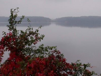 1.ir vel rudens stilis.jpg