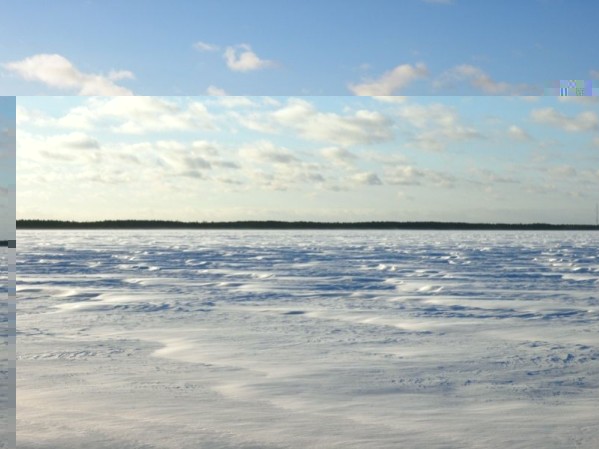rekyva_2011.11.10_.jpg