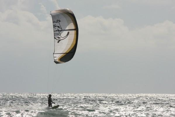 IMG_1253r.jpg