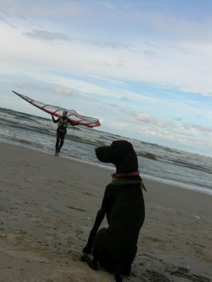 Resize of Rotation of DSCN0867.jpg