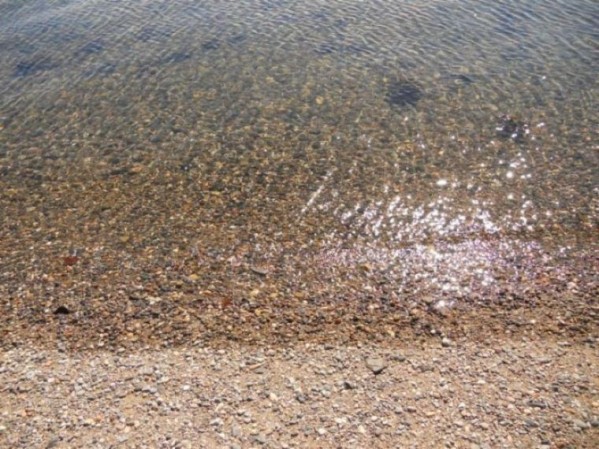 DSCN0464.JPG