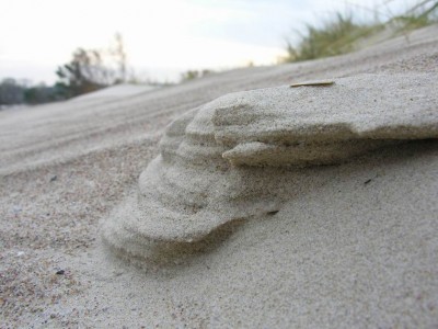 Resize of DSCN1038.jpg