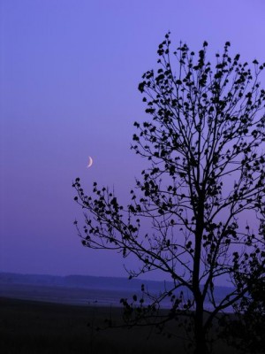 Resize of Rotation of DSCN1285.jpg