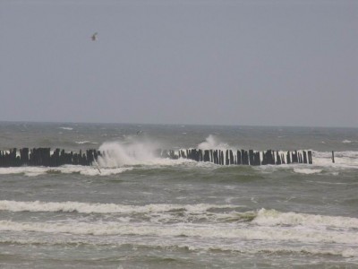 Resize of DSCN1056.jpg