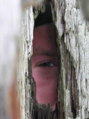 Resize of Rotation of DSCN1146.jpg