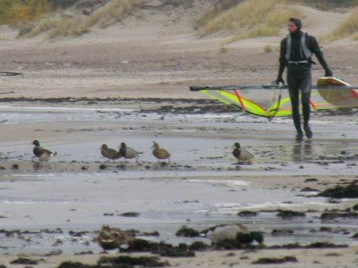 Resize of RSCN1227.jpg