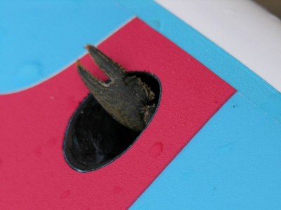 Resize of RSCN1231.jpg