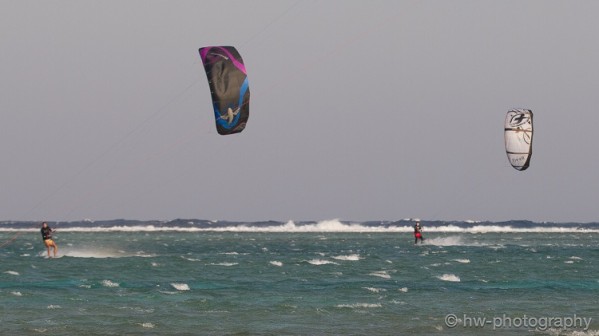 IMG_7467.jpg