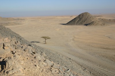 IMG_3740m.jpg