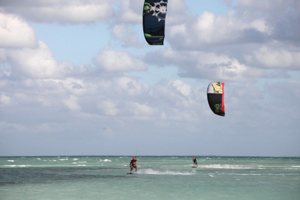 CAYO Guillermo (1).jpg