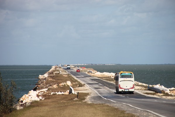 CAYO Guillermo (2).jpg