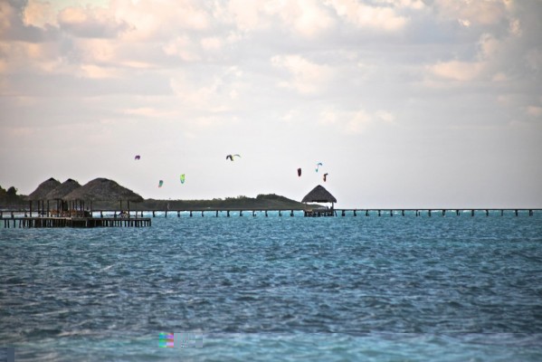 CAYO Guillermo.jpg