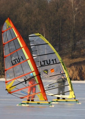 IMG_8004.JPG
