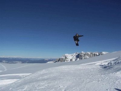 Andrius_fakie360frontgrab.gif