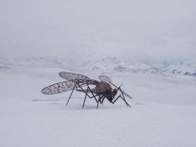 Muse.jpg (78.07 KiB) Peržiūrėta 4900 kartus(ų) Muse.jpg