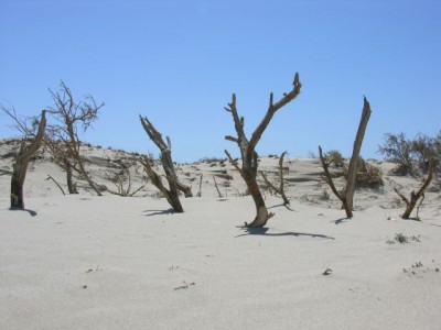 El Turas 2006_03.12 001.jpg