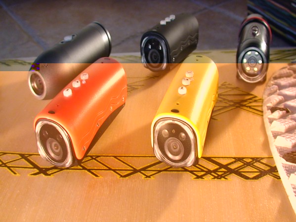 Redleaf seima....jpg