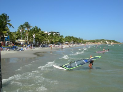 el Yaque papludimys.jpg