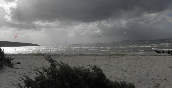 PB110159x.JPG