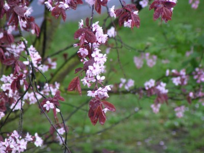 100_0156_resize.JPG