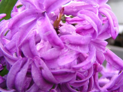 100_0182_resize.JPG