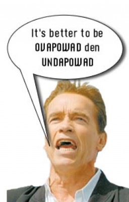 ovapowad.jpg (12.33 KiB) Peržiūrėta 10108 kartus(ų) ovapowad.jpg
