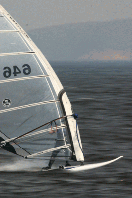 2196-web.gif