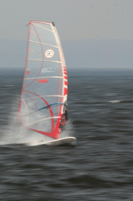 2181-web.gif