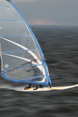 2173-web.gif