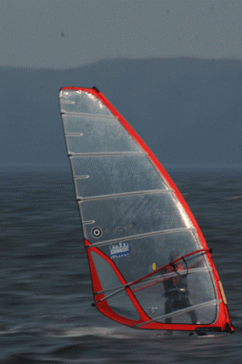 1729-web.gif