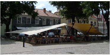 Medziotoju_uzeiga_rotuse.JPG