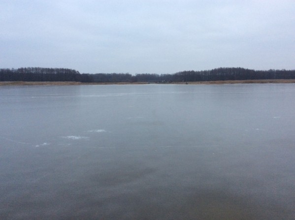 image.jpg (167.7 KiB) Peržiūrėta 477291 kartus(ų) image.jpg