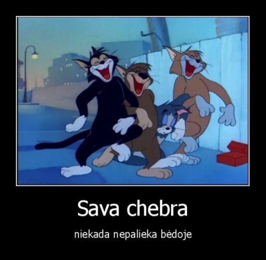 sava chebra.jpg