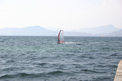 IMG_6010m.jpg