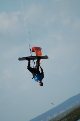 DSC_6509.JPG