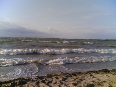 20060831.jpg