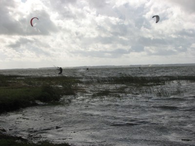 IMG_5269.JPG