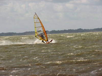 IMG_5208.JPG