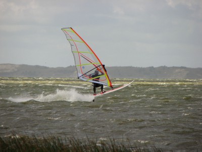 IMG_5130.JPG