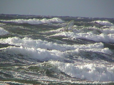 DSC09177.JPG