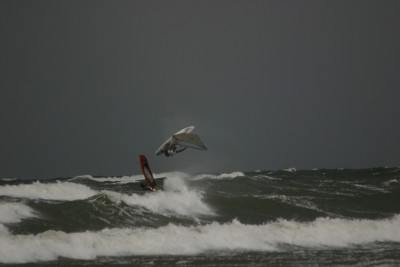 IMG_6592m.jpg