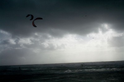 tramhore (14).JPG