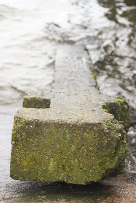 CRW_2687.jpg