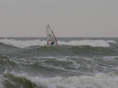 Resize of DSCN3533.JPG